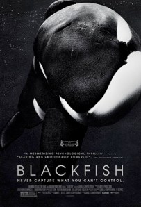 blackfish-poster